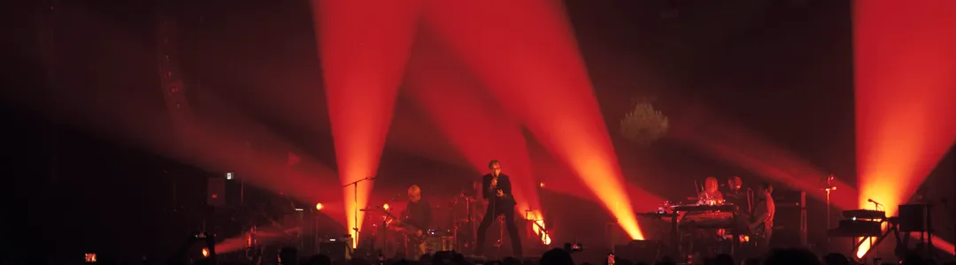 Pulp