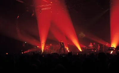 Pulp