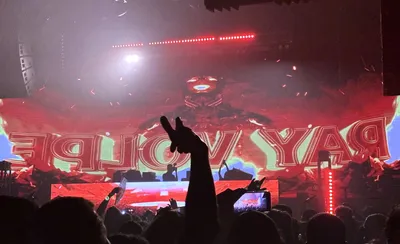 Ray Volpe